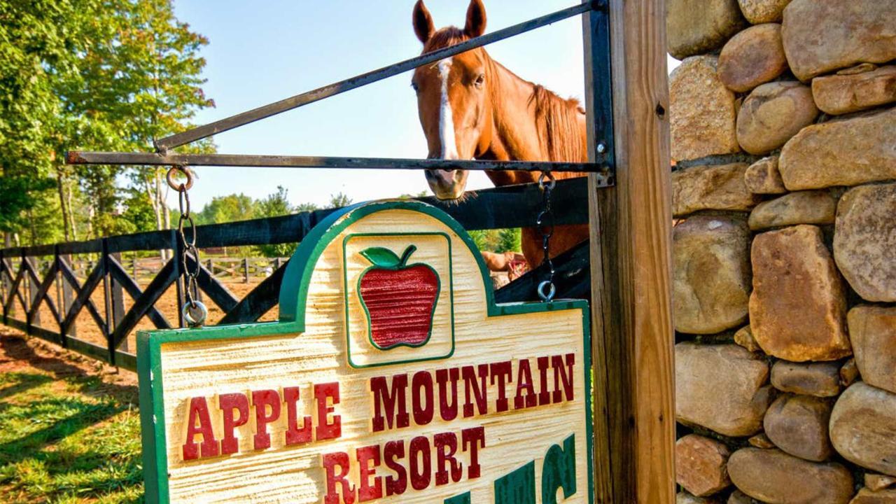 Holiday Inn Club Vacations Apple Mountain Resort At Clarkesville Exterior foto